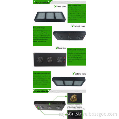 Professional high-efficiency spotlights colorful LED plant grow lights for potted plants fruit and vegetables